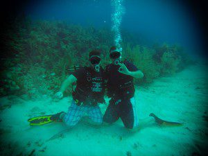 Scuba divers on ocean floor