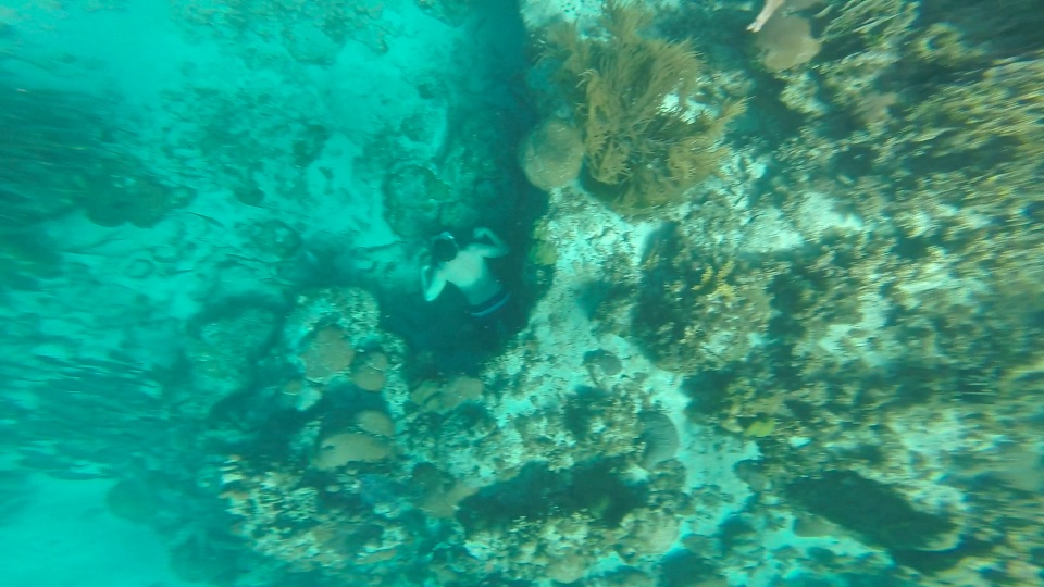 Diver at Hol Chan Marine Reserve