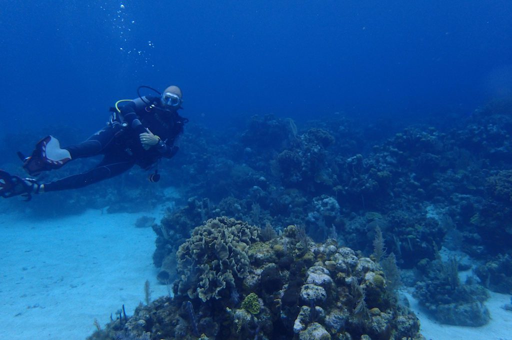 Roatan Honduras scuba diving