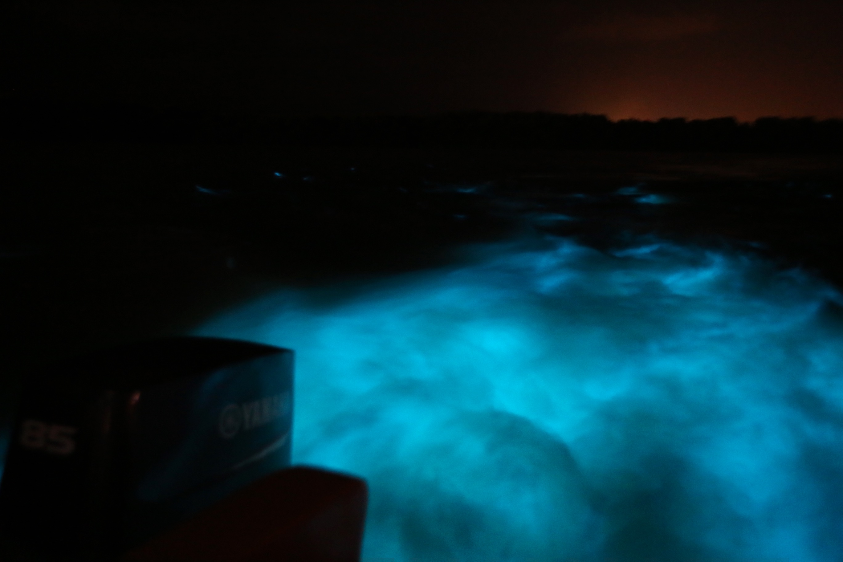 Visiting the Luminous Lagoon in Jamaica near Montego Bay UponArriving