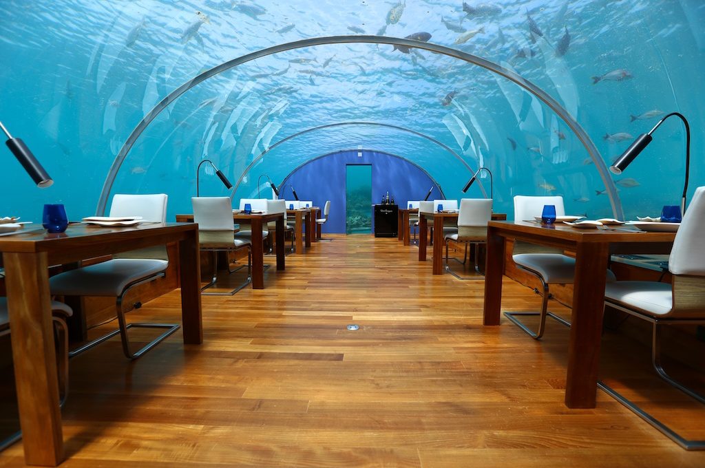  An underwater restaurant in the Maldives.