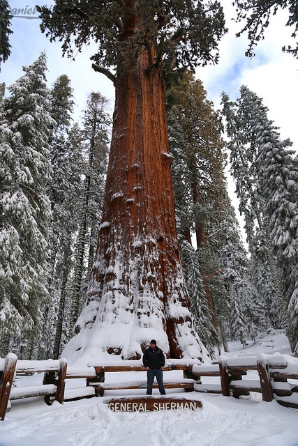 Credit Cards For Bad Credit >> 9 Best National Parks in Southern California to Explore ... Credit Cards For Bad Credit >> 9 Best National Parks in Southern California to Explore ...