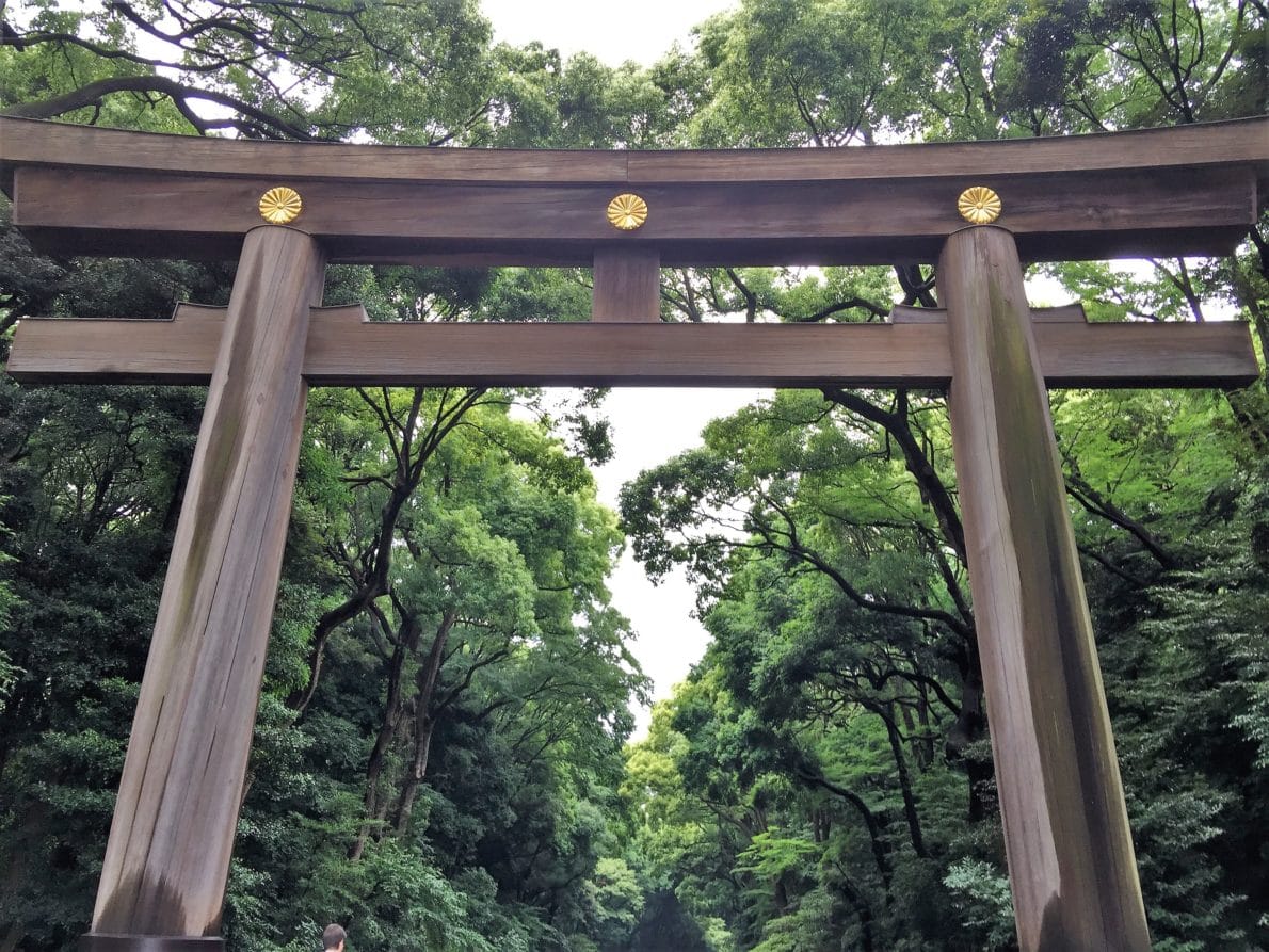 Meiji Gate and forest