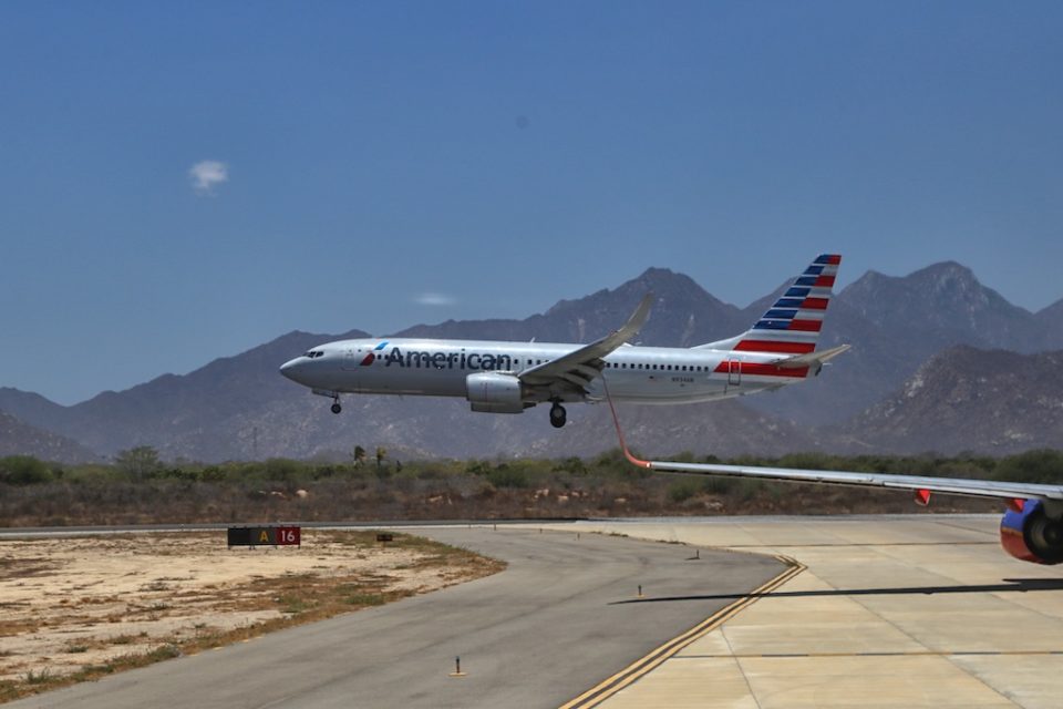 American Airlines Pet Policy Guide [2022] UponArriving