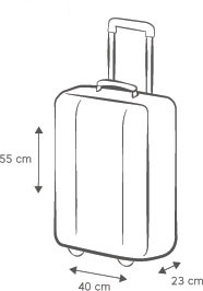 Austrian Airlines Baggage Fees Guide Carry On Checked International Uponarriving