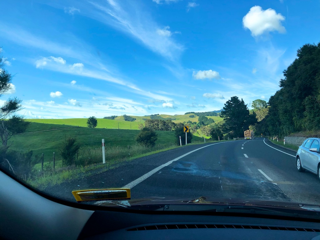 Driving in New Zealand