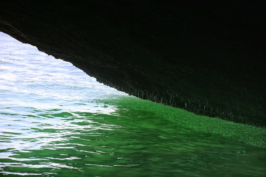 Algarve Sea Cave Tour