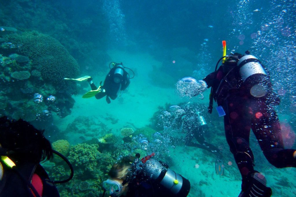 Great Barrier Reef Australia scuba diver