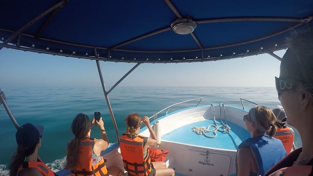 Group looking at ocean