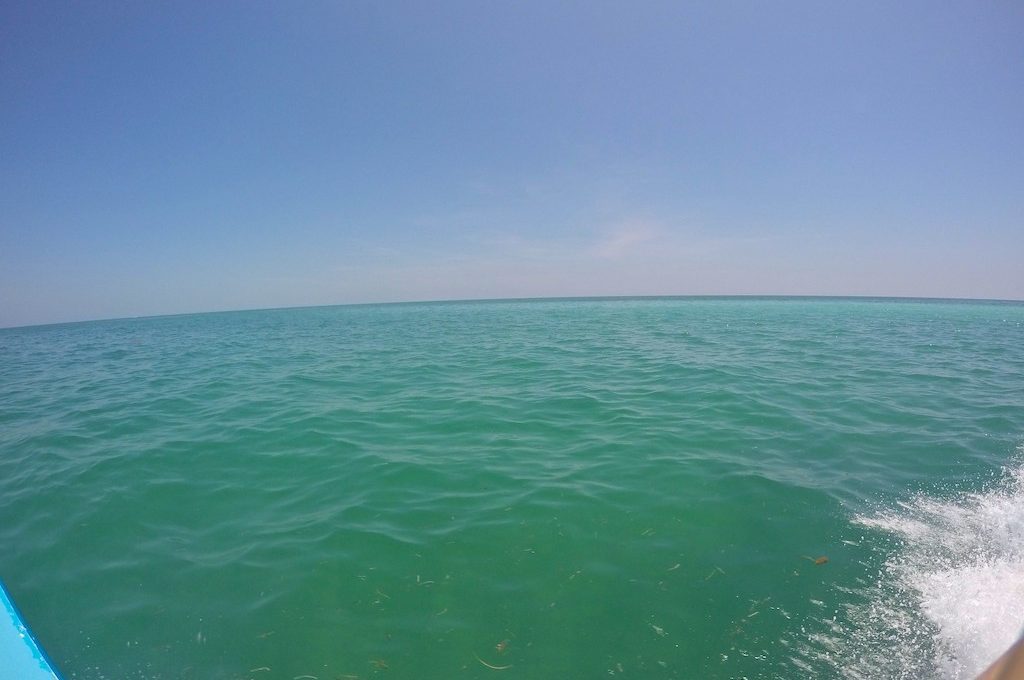 Ocean view from boat