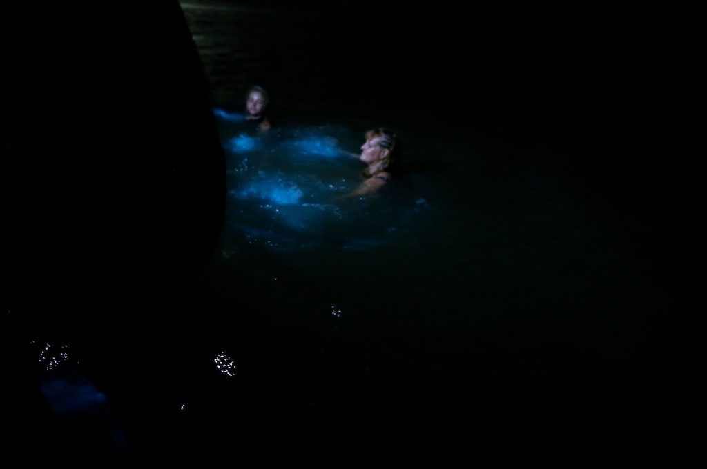 People swimming Luminous Lagoon in Jamaica