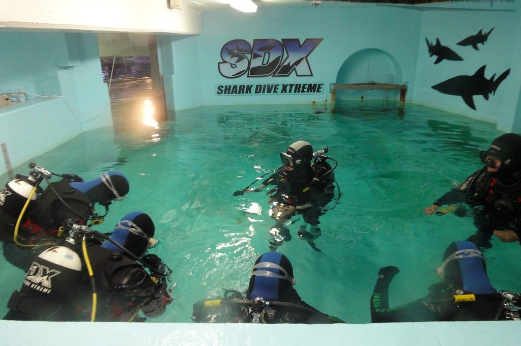 Scuba divers in water tank at Manly Sea Life Sanctuary