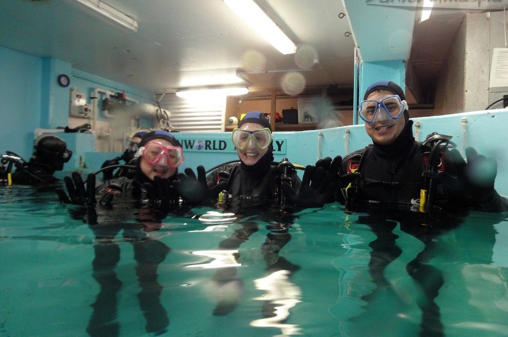 Scuba divers in water tank at Manly Sea Life Sanctuary