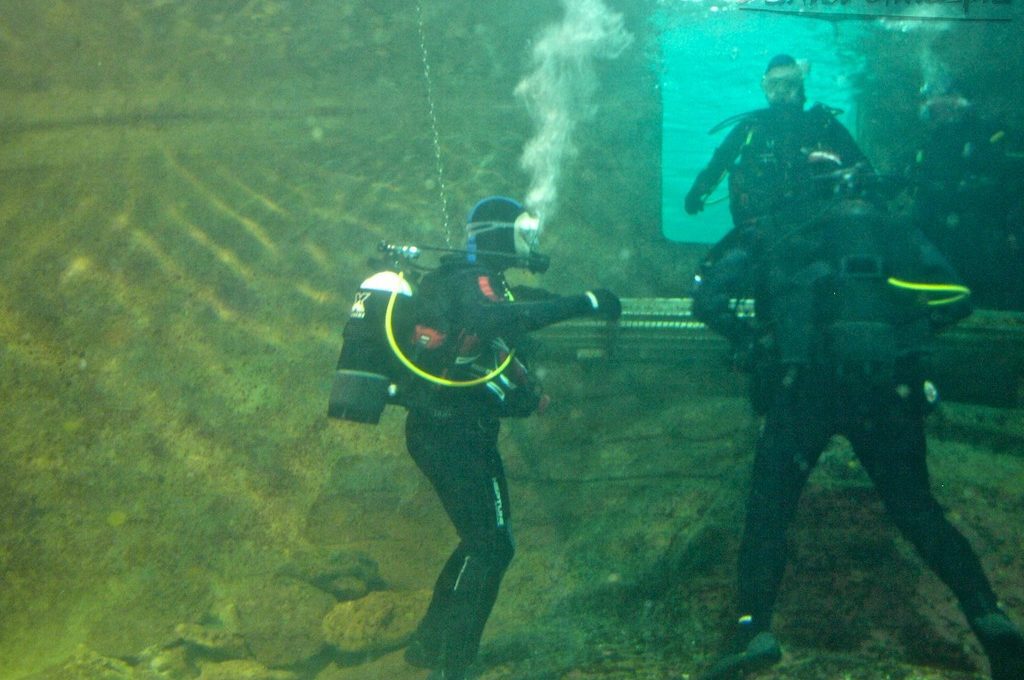 Scuba divers in water tank at Manly Sea Life Sanctuary