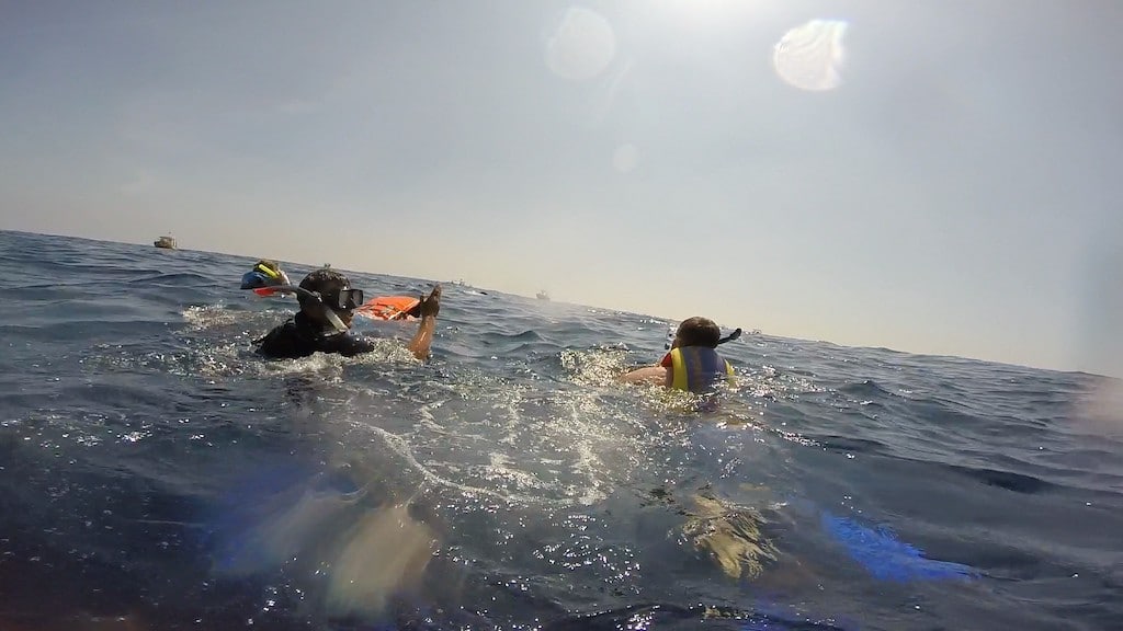 Snorkeling with whale shark