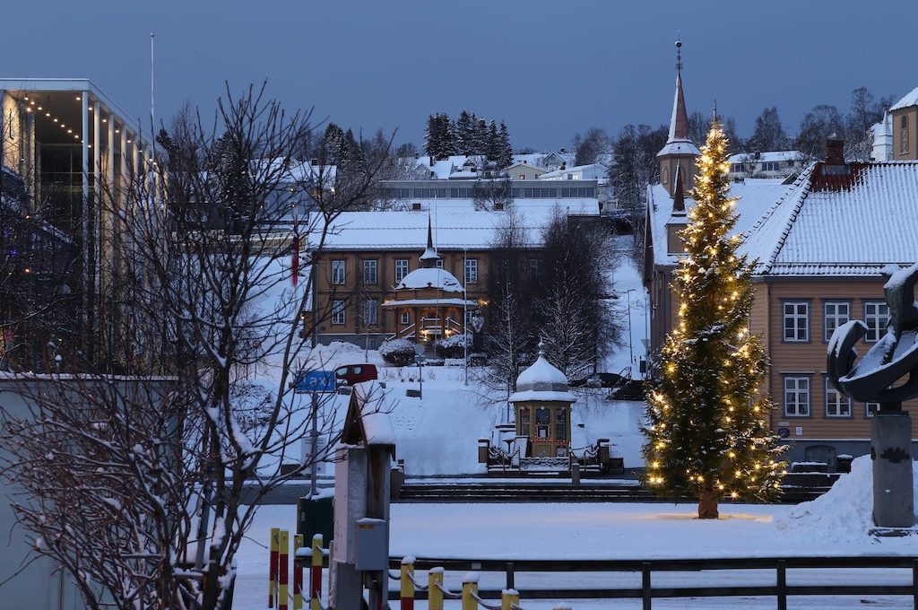 Tree with lights Tromso Norway