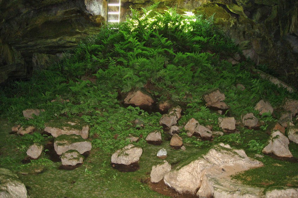 Fern Cave at Lava Beds National Monument