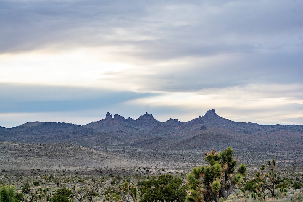 Castle Mountains National Monument