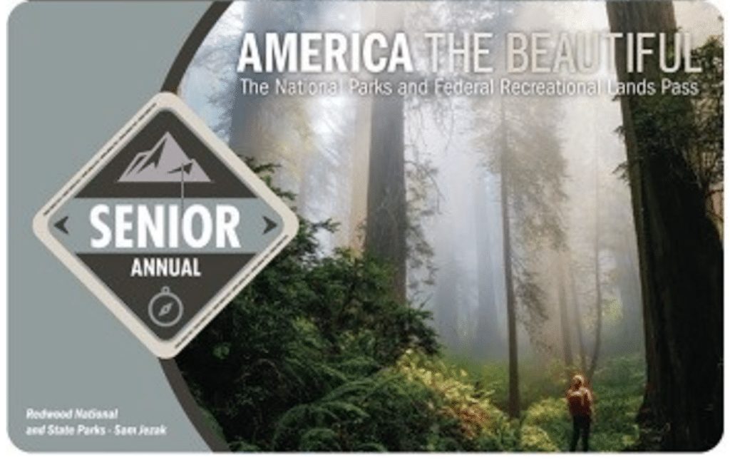 Annual senior pass