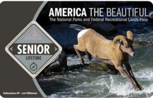 Lifetime Senior Pass.