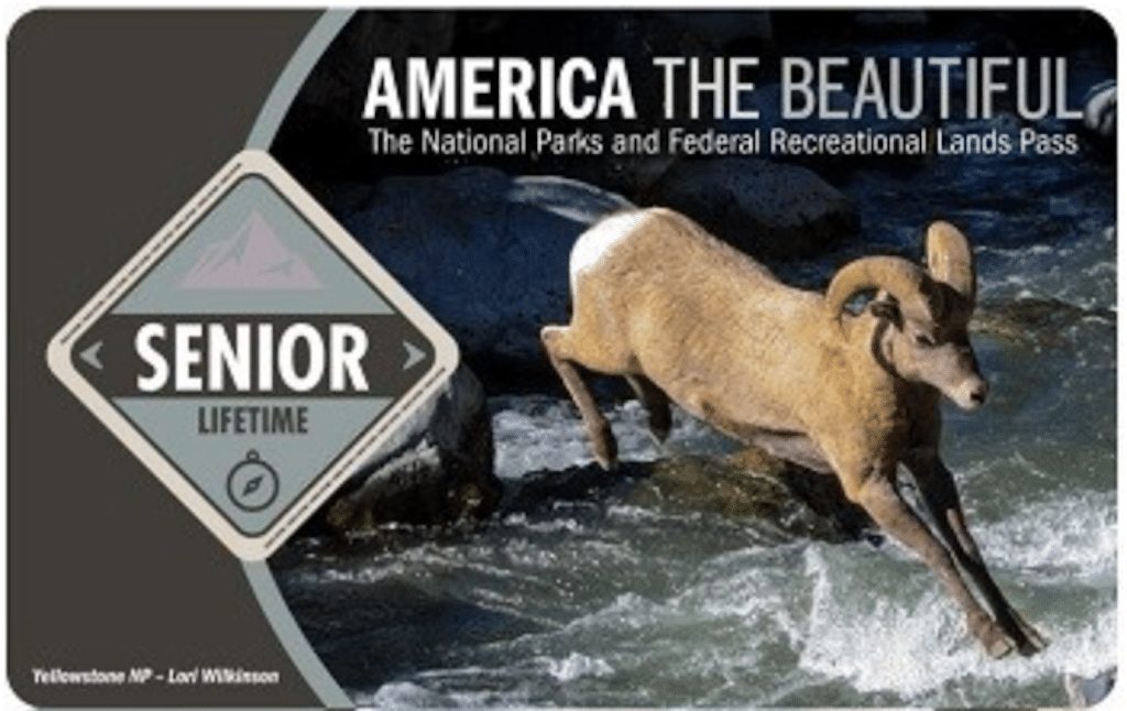 Lifetime Senior Pass.