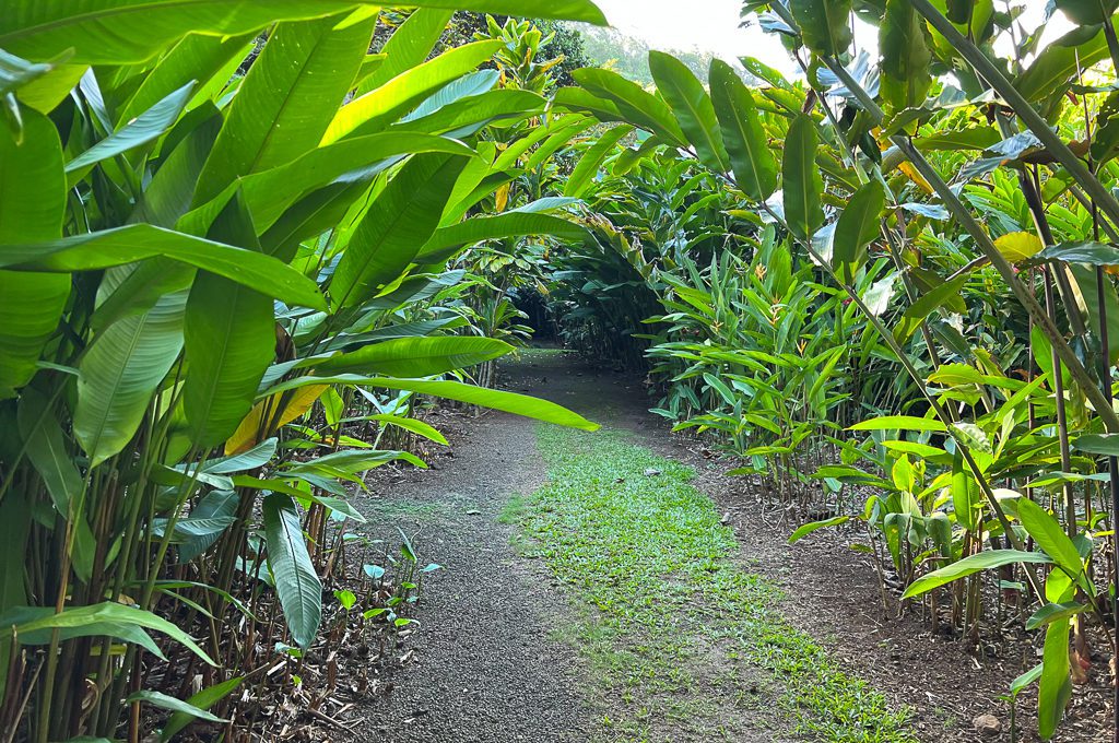 allerton garden guided tour