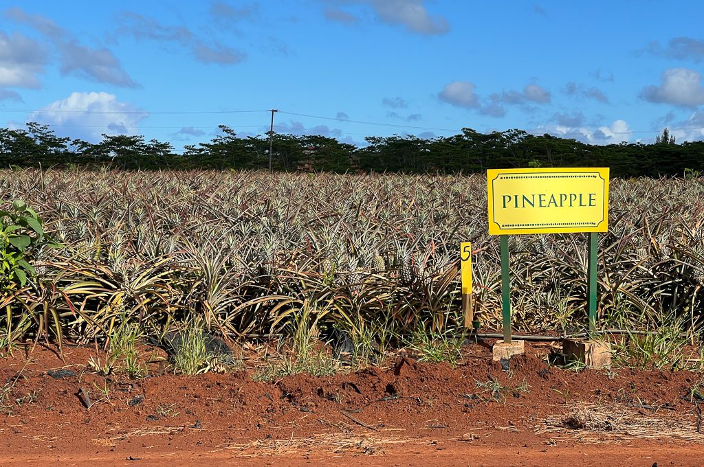 dole plantation garden tour