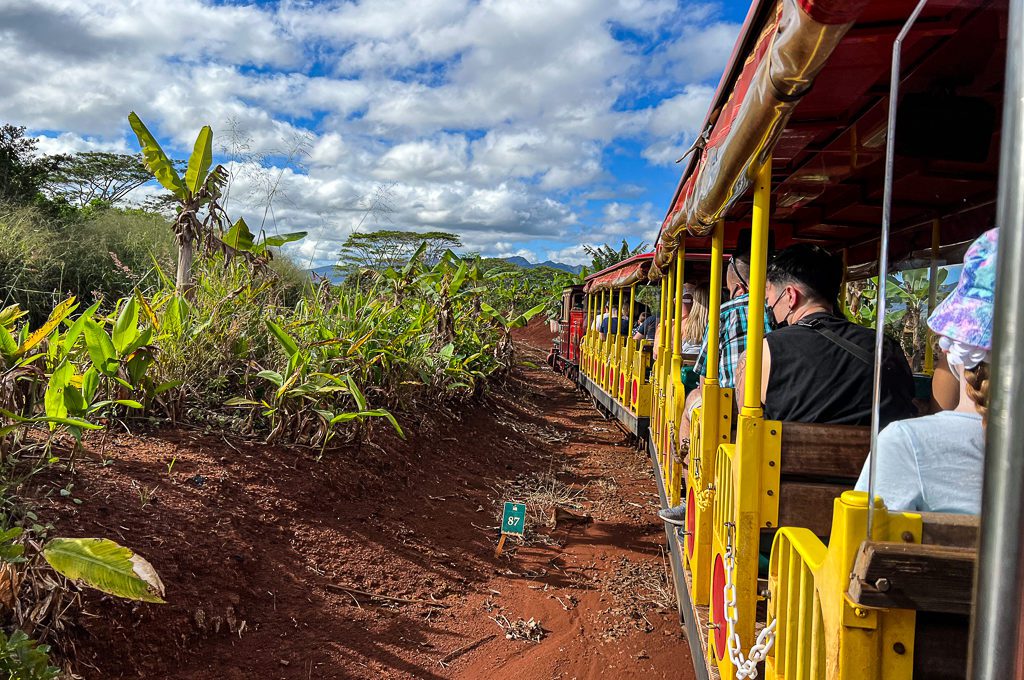 Pineapple Express Train Tour