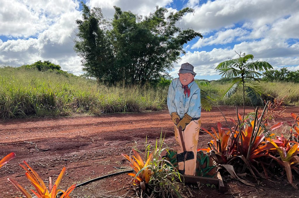 dole plantation garden tour