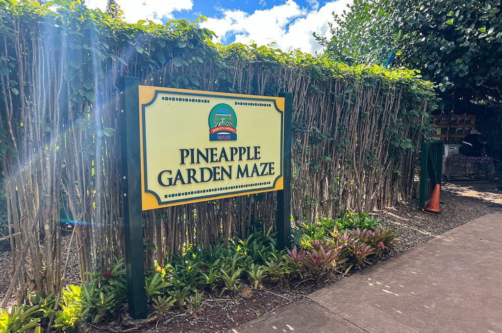 Pineapple Garden Maze entrance