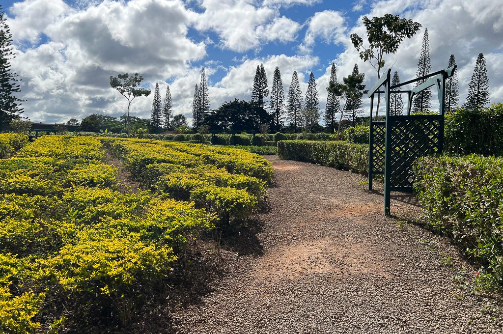 dole plantation garden tour