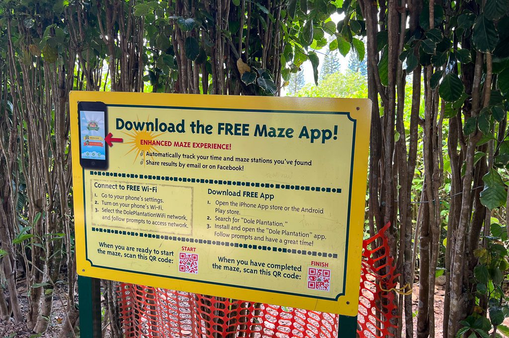 Pineapple Garden Maze