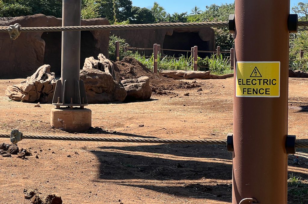 Honolulu Zoo elephant inclosure.