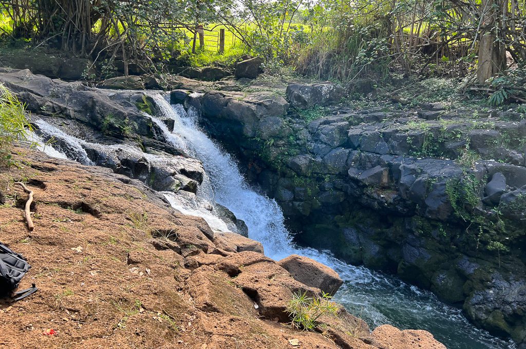 Hoopii Falls trail