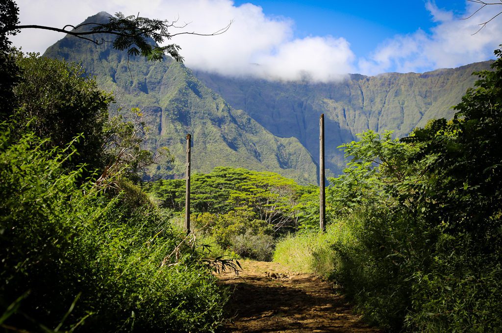 Jurassic Park gates at Lihue-Koloa Forest Reserve.