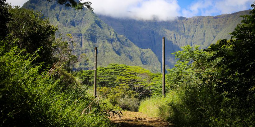 can you visit the jurassic park gate