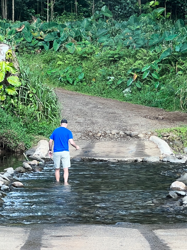 Jurassic Park Gates water crossing