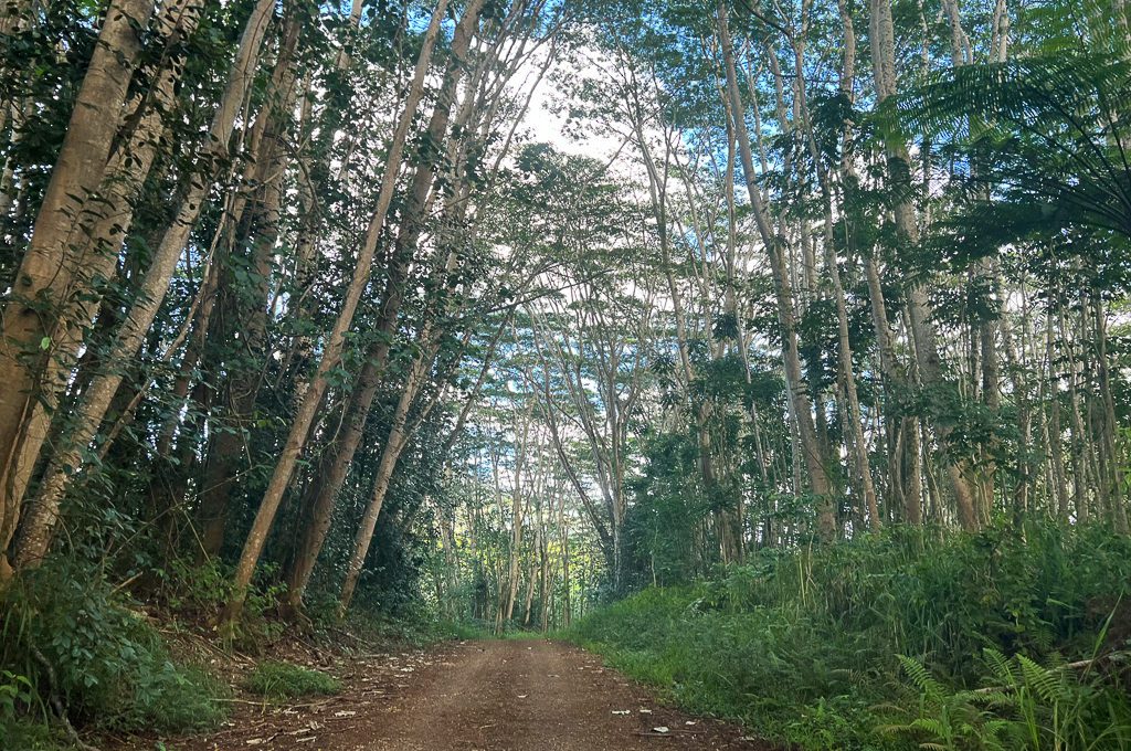 can you visit the jurassic park gate