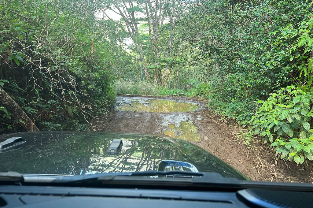 can you visit the jurassic park gate