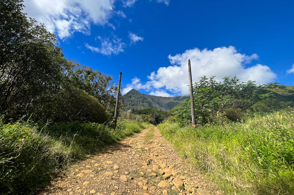 Jurassic Park gates filming location