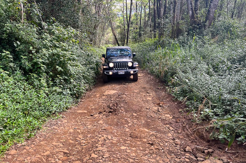 Off roading in Jeep