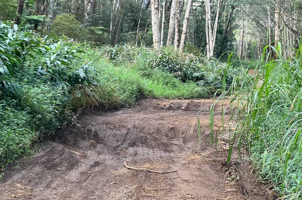 Jurassic Park Gates bumps in road