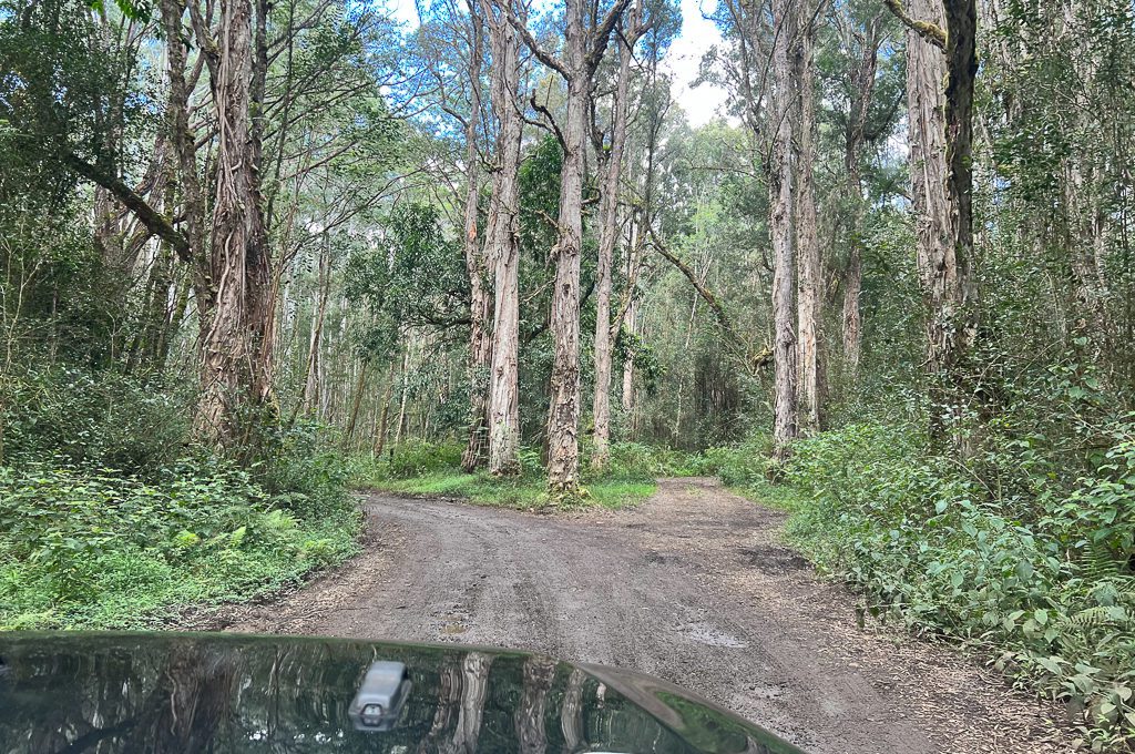 can you visit the jurassic park gate