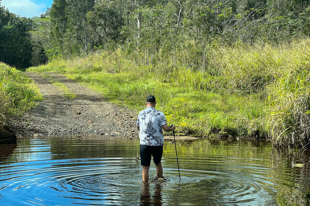 Jurassic Park Gates water crossing