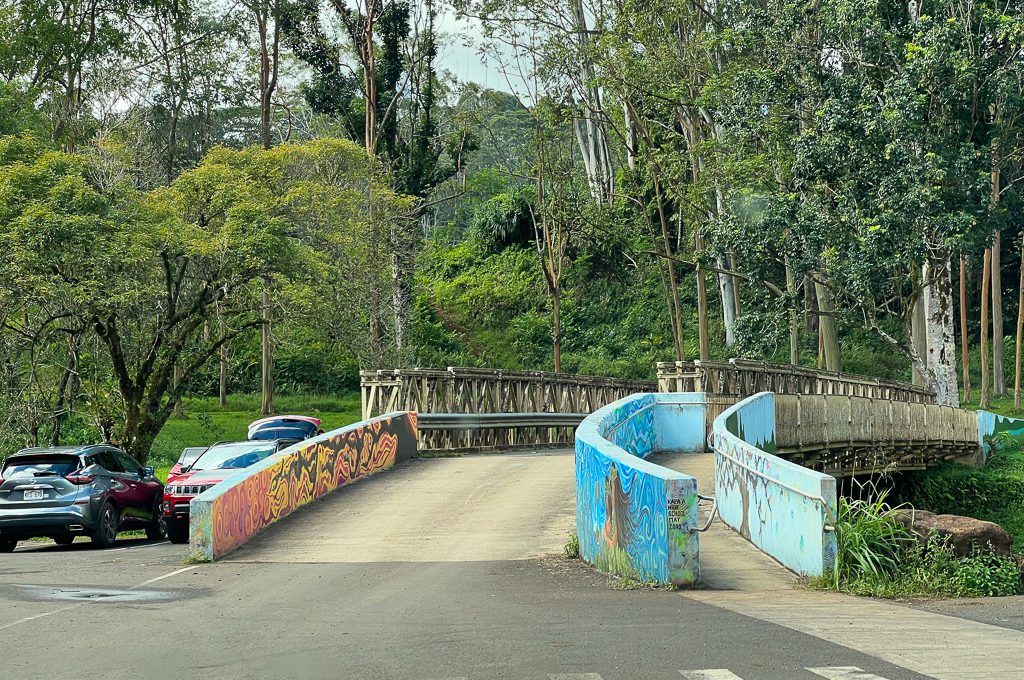 Bridge at Keahua Arboretum.