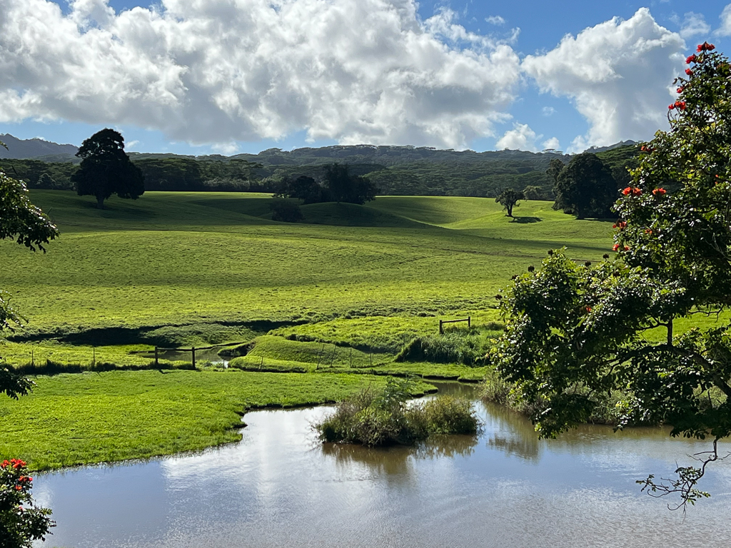 Jurassic Kahili Ranch.
