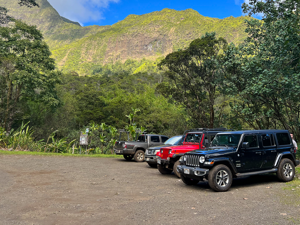 T-Rex Paddock in Kauai Jurassic Park