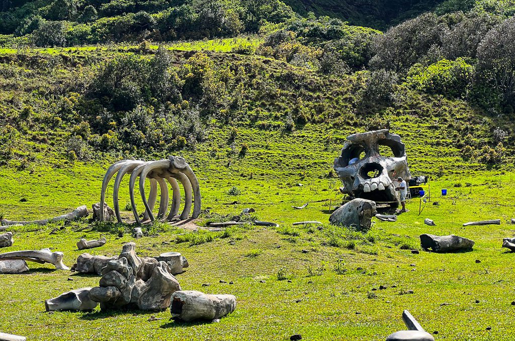 Kualoa Ranch Kong: Skull Island props