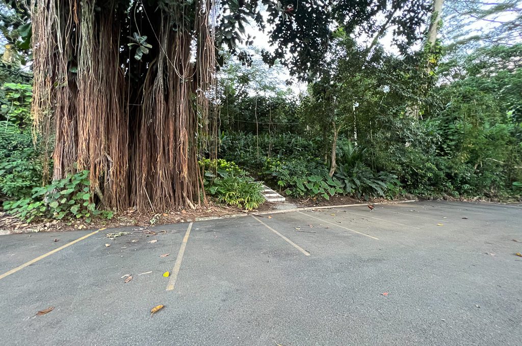 Manoa Falls parking trail entrance