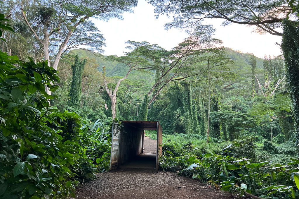 Manoa Falls shipping container